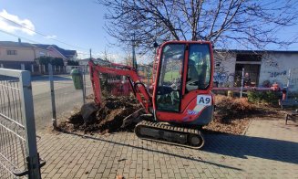 Sute de arbori vor fi plantați în Florești! Primarul Pivariu: „Este important să conștientizăm importanța conservării mediului înconjurător”