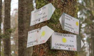 Ce poți face în Circuitul Cheile Galbenei, unul dintre cele mai frumoase din Munții Apuseni