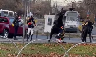 Din "bâlbele" de 1 Decembrie... Un jandarm pregătit pentru paradă, cade de pe cal