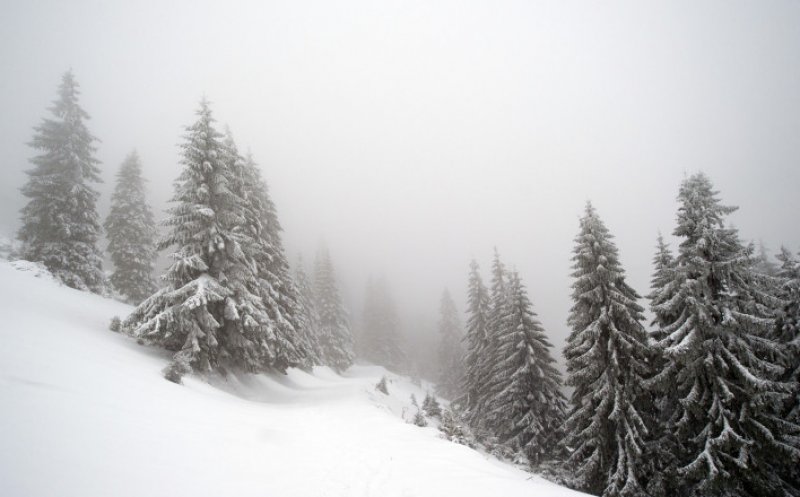 Avertizare meteorologică! Ninsori și viscol în zona montană a Clujului