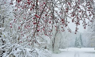 Vești noi de la meteorologi. Ninge sau nu de Crăciun?