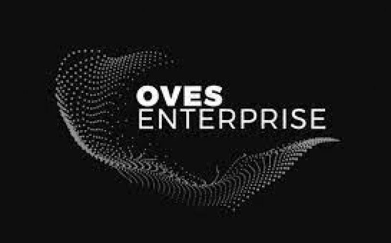 Clujenii de la Oves Enterprise, afaceri de 14 milioane de lei la final de an