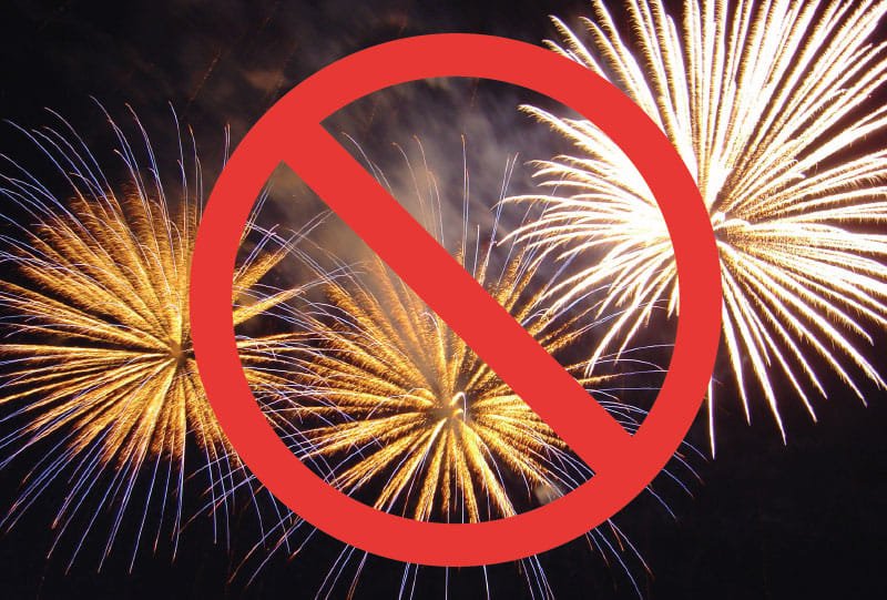O asociație din Cluj, care oferă terapi cu animale, solicită anularea focurilor de artificii de Revelion: „Produc anxietate și panică”