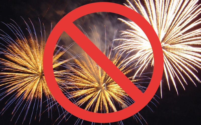 O asociație din Cluj, care oferă terapi cu animale, solicită anularea focurilor de artificii de Revelion: „Produc anxietate și panică”