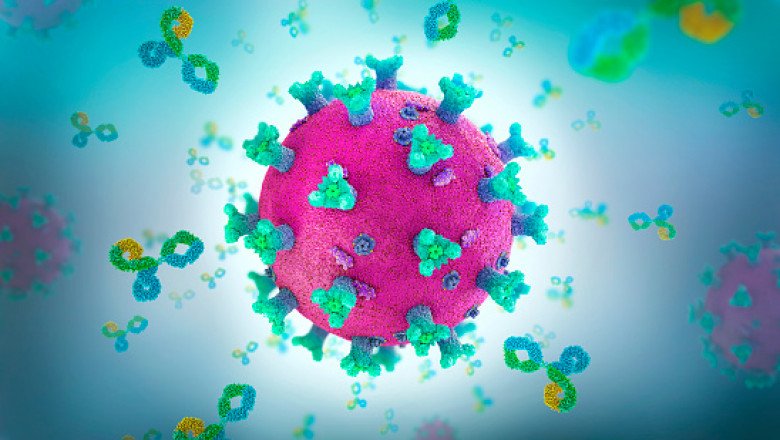 Anticorpii dobândiți în urma infecției cu COVID pot ataca organele sănătoase