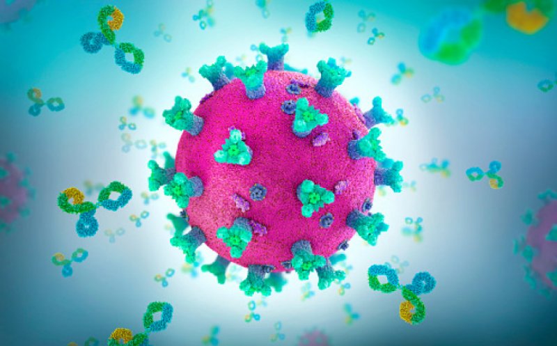 Anticorpii dobândiți în urma infecției cu COVID pot ataca organele sănătoase