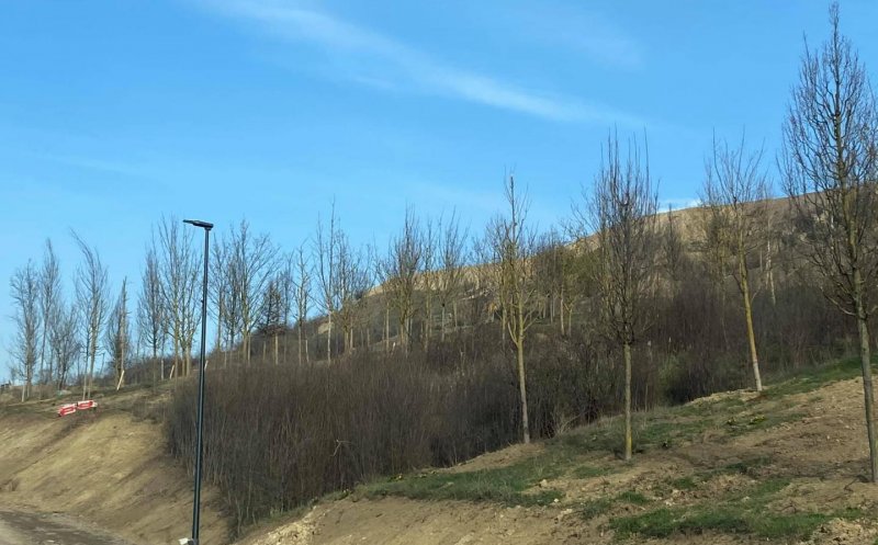 Parcul Tineretului – Pădurea Clujenilor este GATA! Clujenii vor putea merge, la primăvară, în cel mai mare parc al Clujului