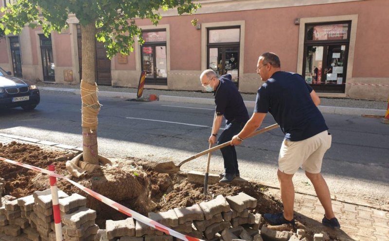 Cum se schimbă spațiile verzi din Cluj în următorii 4 ani. Cuvând de ordine, susținut și de Boc: CREATIVITATE