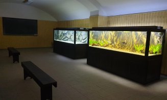 Pești exotici din Africa și America de Sud, în acvariile de la USAMV. Fosile vii, pești umblători, piranha sau ciclide africane, printre atracții