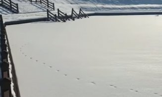 -23°C la Dej. A îngheţat până şi un lac cu apă sărată