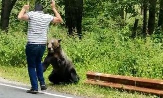 "Selfie-ul perfect": Sute de oameni au murit pentru obsesia celebrităţii pe internet