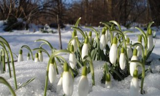 Prognoză nouă de la meteorologi. Vine primăvara!