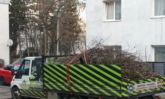Au început "mutilările de primăvară" a spaţiilor verzi din Cluj-Napoca