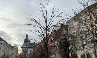 Au început toaletările de primăvară la Cluj-Napoca. Firma responsabilă: "Se lucrează cu profesioniști în domeniu"