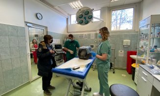 "Pacienți" din Ucraina, la USAMV Cluj, pentru investigații de specialitate şi eliberare de paşapoarte