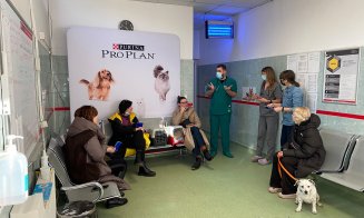 "Pacienți" din Ucraina, la USAMV Cluj, pentru investigații de specialitate şi eliberare de paşapoarte