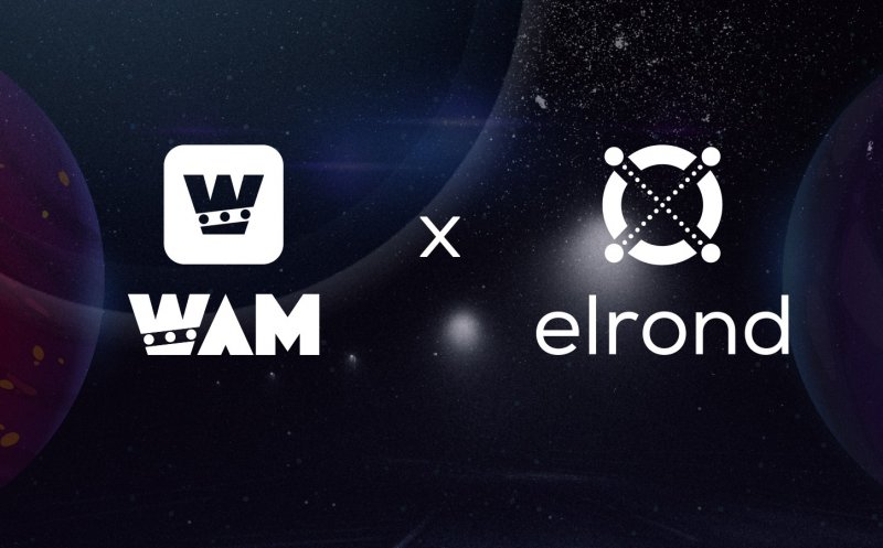 Proiectele crypto românești Elrond și WAM au bătut palma