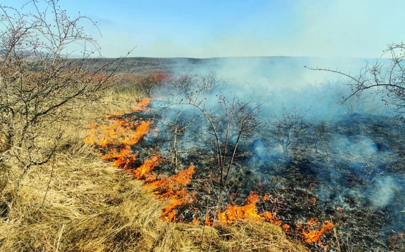 Primărița din Chinteni îi amenință pe cei care își incendiază terenurile că nu vor mai primi adeverința pentru subvențiile APIA