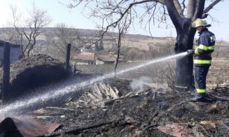 Incendii la un adăpost de animale, la o lemnărie și incendii de vegetație
