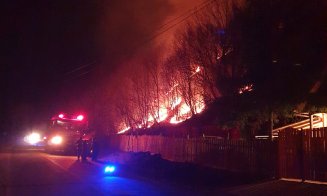 Incendiul de pădure de la Băișoara. Misiune dificilă pentru pompieri