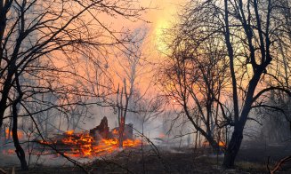 Incendiile de pădure de la Cernobîl. Ce spune Ministerul Mediului despre situația de pe teritoriul României