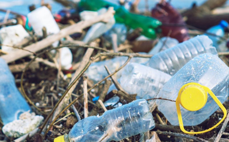 Semnal de alarmă privind poluarea cu plastic! Microparticule, descoperite pentru prima dată în sângele uman