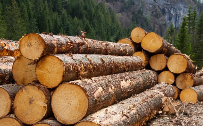 Material lemnos fără documente de exploatare, confiscat la Mărişel