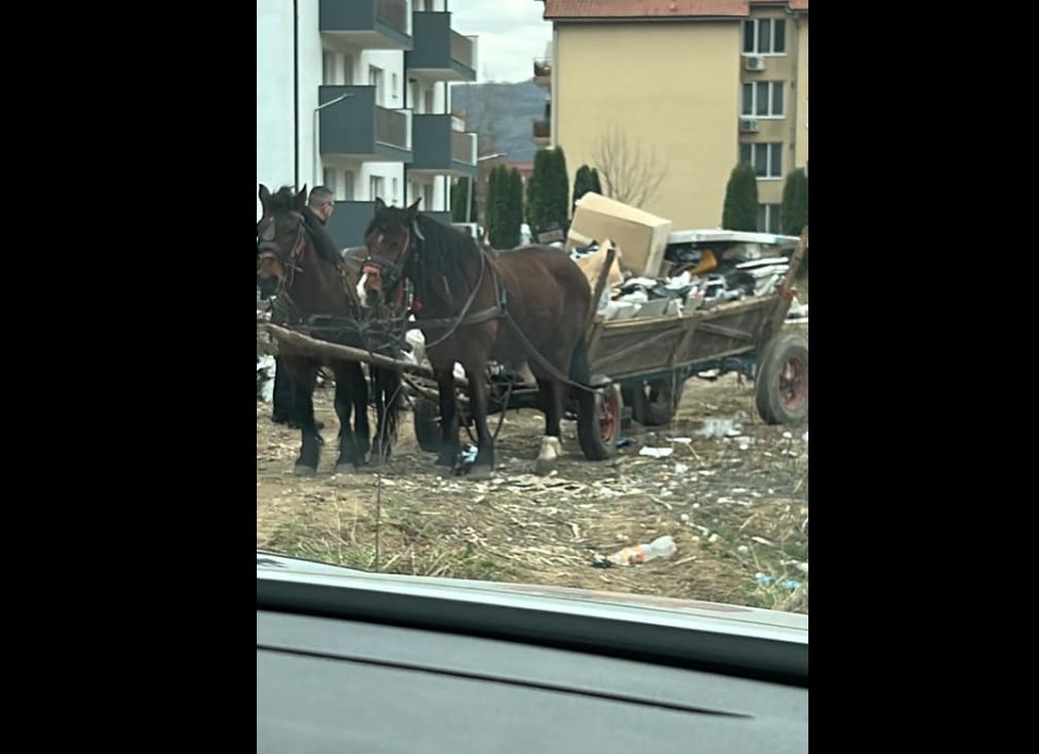 Bogdan Pivariu pune piciorul în prag: „Toleranță zero pentru transportul și depozitarea deșeurilor în mod ilegal pe raza Floreștiului”