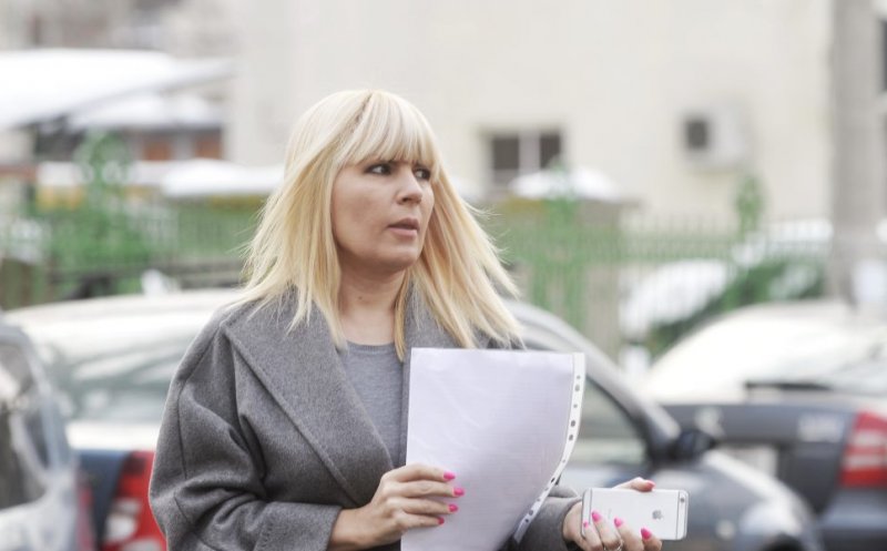 Elena Udrea a fost prinsă în Bulgaria, la granița cu Grecia