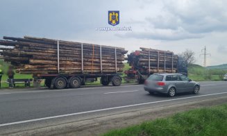Hoţii din Cluj transportă lemnul furat ziua în amiaza mare, pe DN1, în camion cu remorcă
