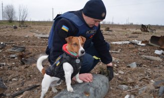 Patron, câinele genist din Ucraina, a fost decorat de președintele Zelenski
