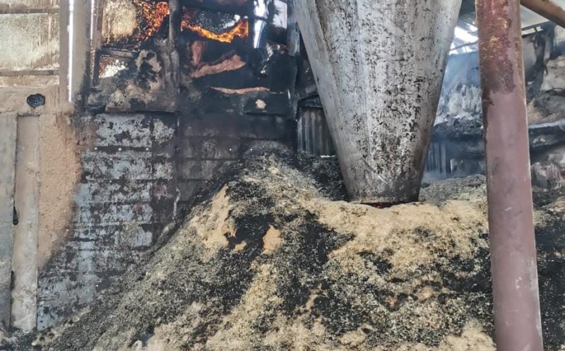 Cluj: Incendiu la o fabrică de prelucrare a lemnului. Au intervenit pompierii și SMURD-ul
