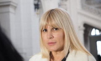 Elena Udrea are șanse mari să scape de închisoare. Ce decizie așteaptă astăzi