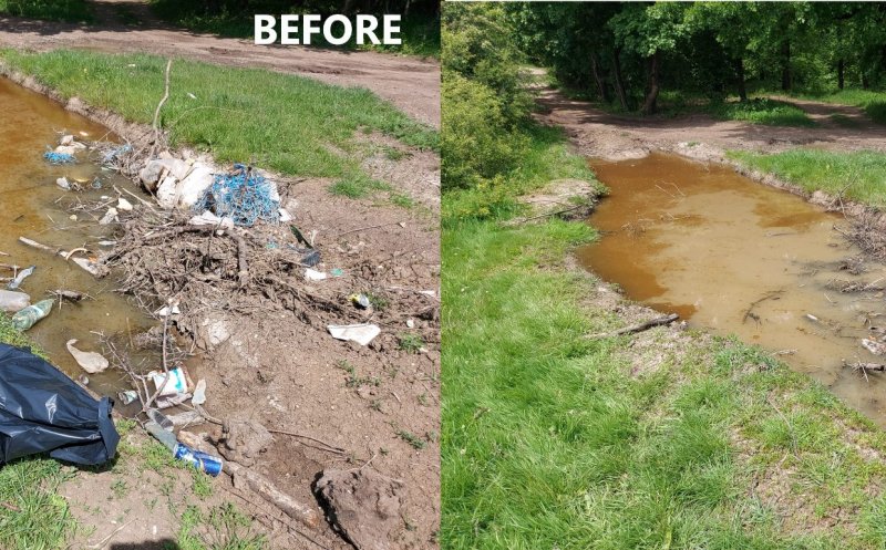 Acțiune de ecologizare în Pădurea Hoia. Voluntarii au adunat sute de saci de deșeuri