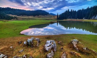 “Poiana misterioasă” din Parcul Natural Apuseni. E unică în România