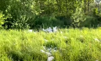 IMAGINI cu locul unde a fost găsit cadavrul Beatei Molnár. Noi detalii despre cum a acționat Ferenc Boné, principalul suspect