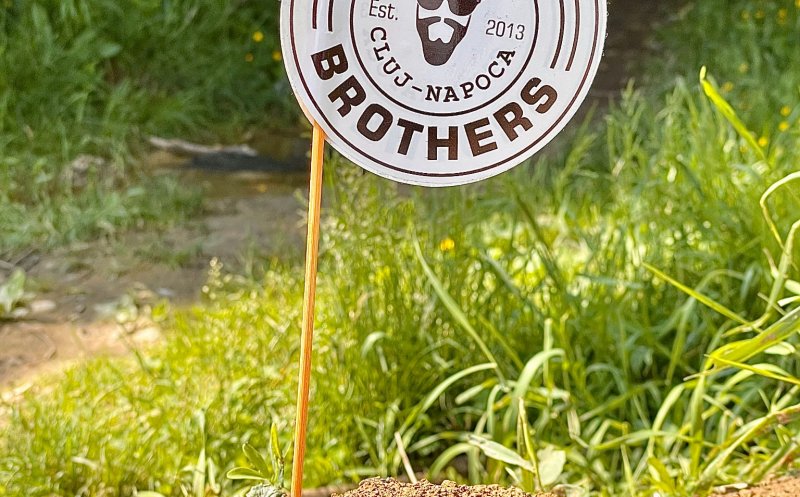 Există teren pentru Școala de Meserii Beard Brothers! S-au strâns aproape 200.000 euro din donații