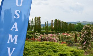 USAMV aduce pe Strada Potaissa cireșe, vinuri albe și Gingko biloba din producția proprie