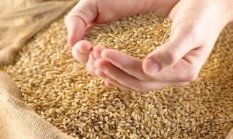 75 de milioane de tone de cereale ar putea fi blocate în Ucraina, până în toamnă