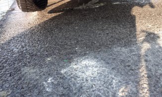 O mașină a luat foc pe Autostrada A3. Nu subestimați valoarea stingătoarelor din kitul de siguranţă al maşinii