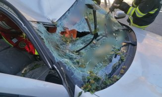 Creanga unui copac, ruptă de vântul puternic, a intrat prin parbrizul unei mașini și i-a perforat bazinul unei şoferiţe