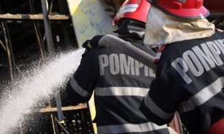 Incendiu pe A3. A luat foc un camion care transportă viţei