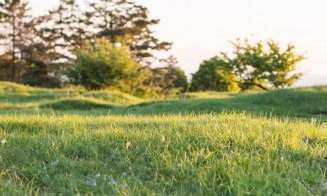 Resturi umane, pe un câmp de lângă Cluj-Napoca. A fost deschis dosar pentru ucidere