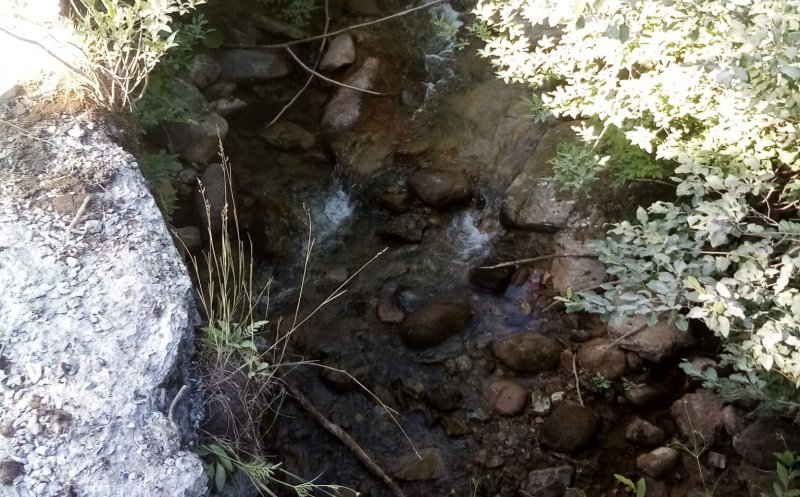 S-a prăbușit cu ATV-ul într-o râpă de 4 metri în zona Valea Drăganului