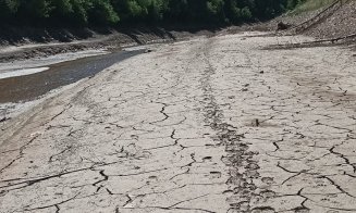 Lacul Beliș seacă pe zi ce trece. Canicula și lipsa ploilor „lovesc” fără milă