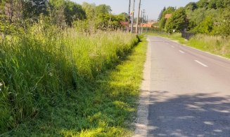 Se face curățenie pe marginea drumurilor județene din Cluj. Crește vizibilitatea în trafic