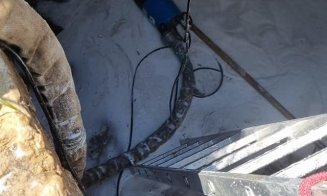 Situație critică pentru locuitorii satului Gheorghieni: Apa potabilă, în continuare contaminată cu produse petroliere