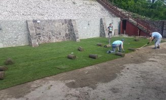 Iarba de Cluj e roditoare. Patron: „Sunt oameni care investesc zeci de mii de euro în spații verzi”