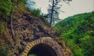 "Fain de tot, cum se zice în Ardeal": Peisaje unice cu mocăniţa de Lunca Arieşului, la 70 de km de Cluj-Napoca