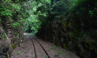 "Fain de tot, cum se zice în Ardeal": Peisaje unice cu mocăniţa de Lunca Arieşului, la 70 de km de Cluj-Napoca